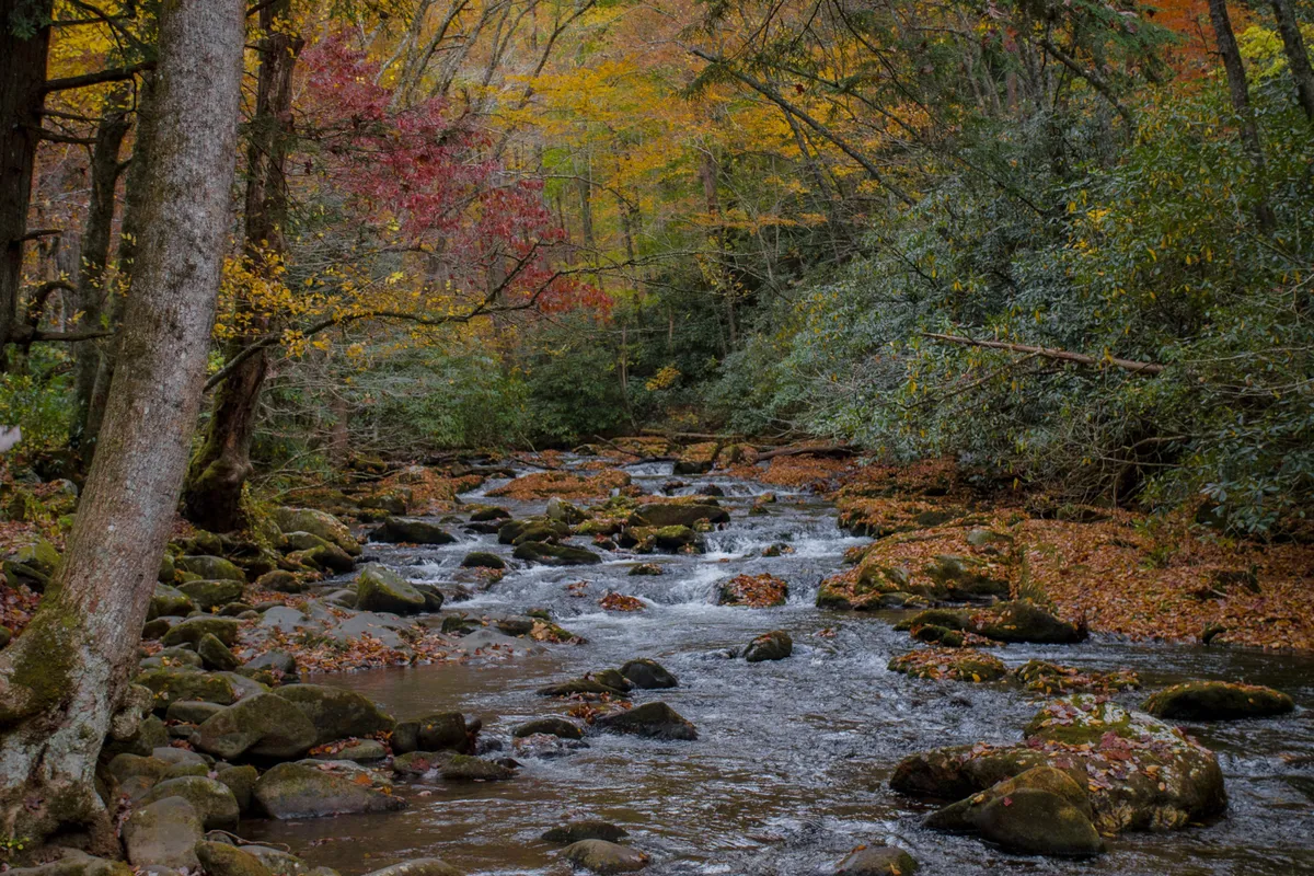 Great Smoky Mountains [OC] [3936x2624]