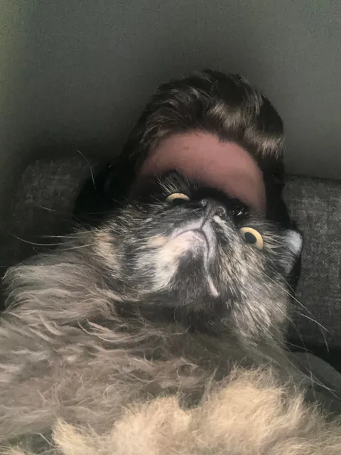 Need some prayers for my girl