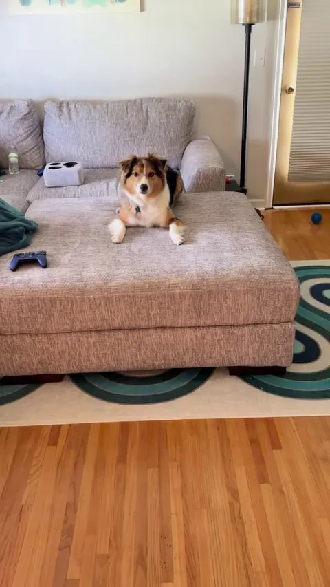 Peak physical performance