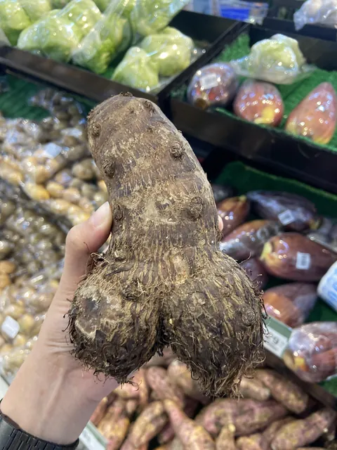 [OC] Taro root I found at the grocery store yesterday.