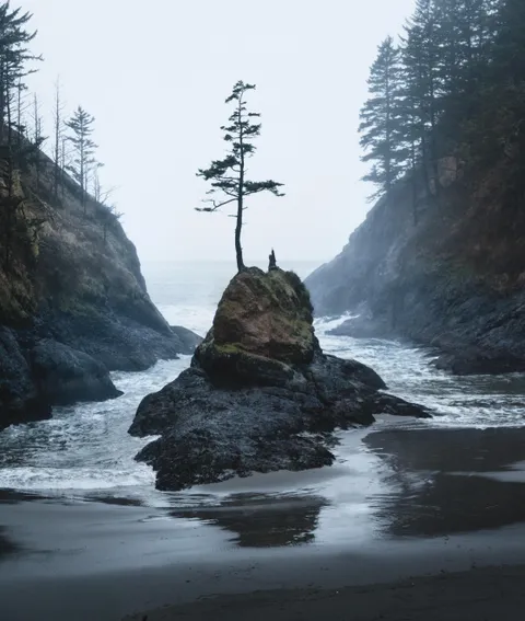 Gloomy days are actually beautiful. Dead Mans Cove, Washington. [OC][4480x5290]