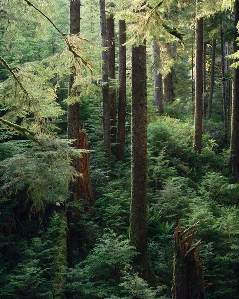 Vancouver Island, Canada (OC)(1520x1900)