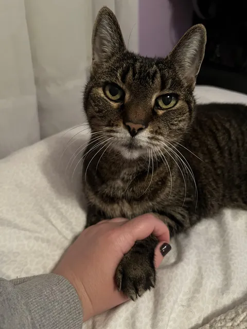 I lost my best friend today💔💔