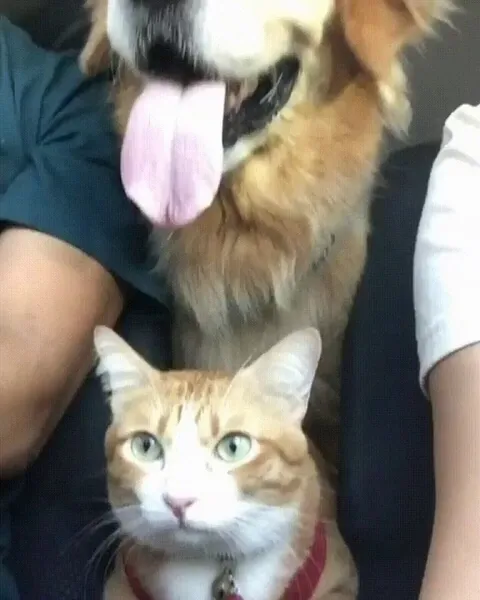 When you’re stuck with someone you dislike for hours