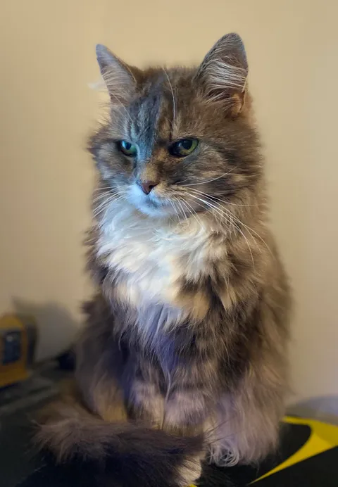 She’s been with me for 22 years and is still going strong