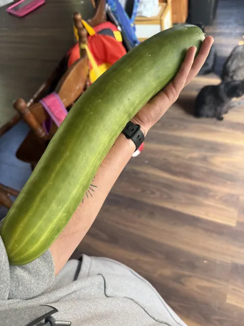 Pulled this beast out of my garden this morning