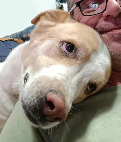 My 7 years old friend