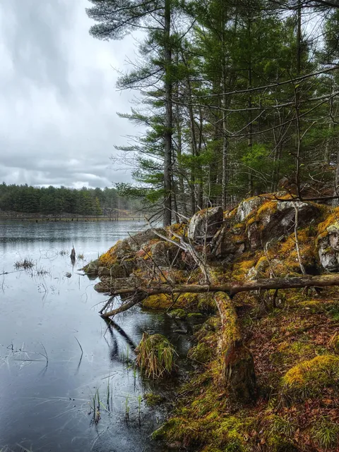 South Frontenac, Ontario Canada [3024x4032] (OC)