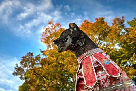 Fall colors in Japan