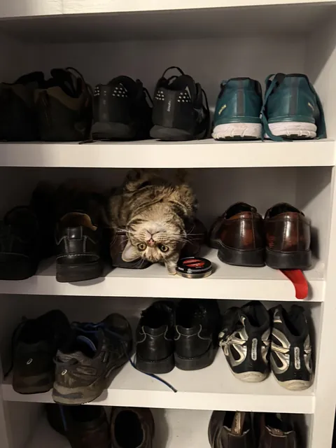 Shoe sales, polishing and repairs