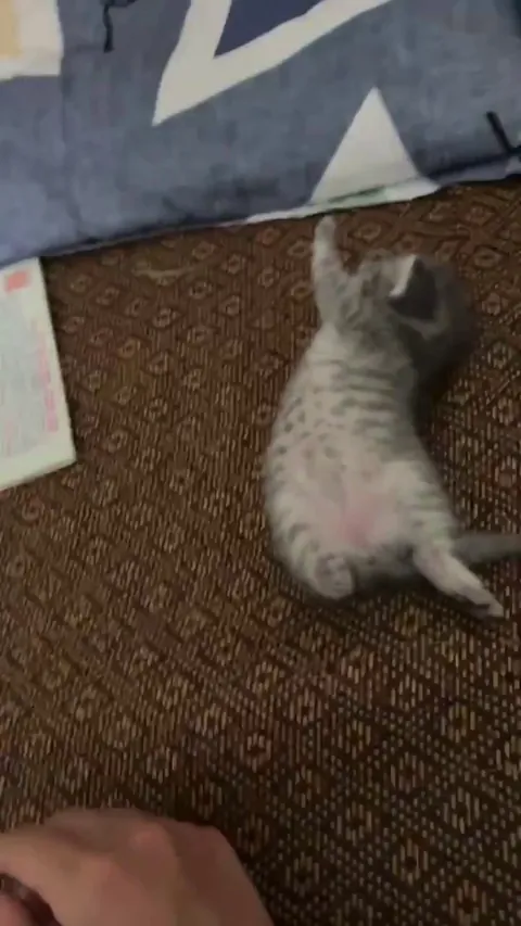 This is how he sleeps