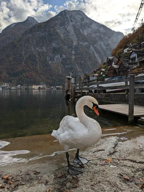 Hallstatt, Austria in Autumn 2024.