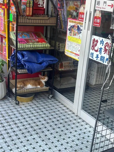 Senior pest control officer