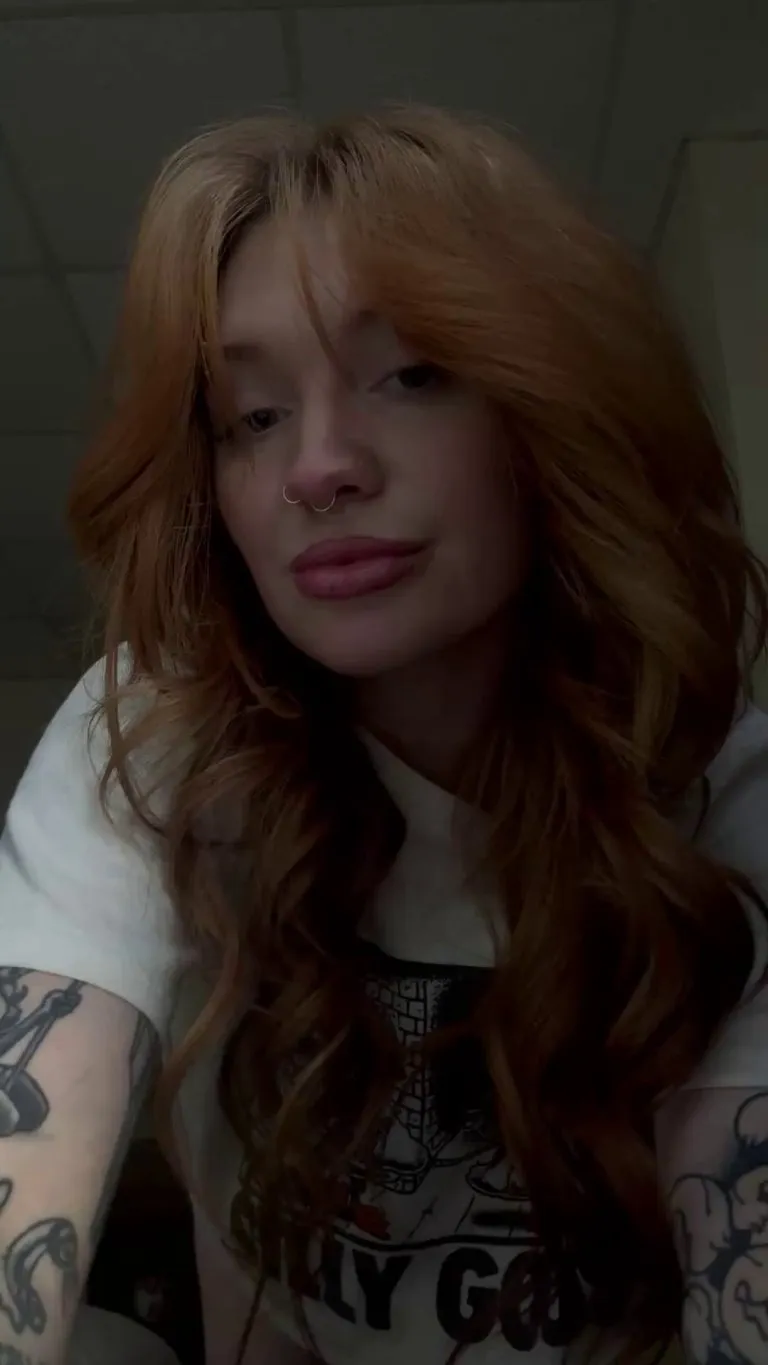 my shirt says silly goose