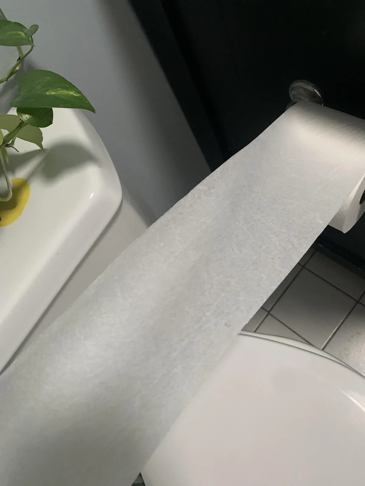 Scott tissue no longer has tear lines, is one long piece