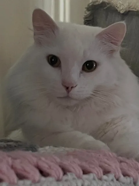 Just an appreciation post