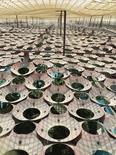 United States Embassy in New Delhi, India (1956-1959) by Edward Durell Stone