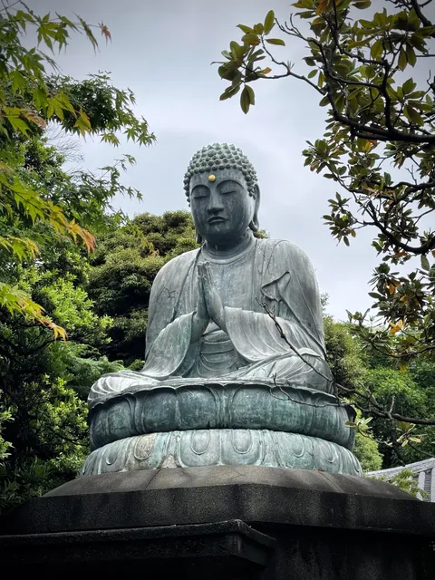 My thoughts after 2 weeks in Japan (Tokyo, Kyoto, Osaka)