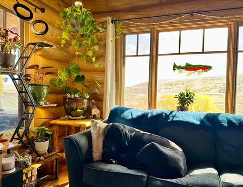 Our Cozy Wyoming Cabin in Autumn 🐾🧡❤️