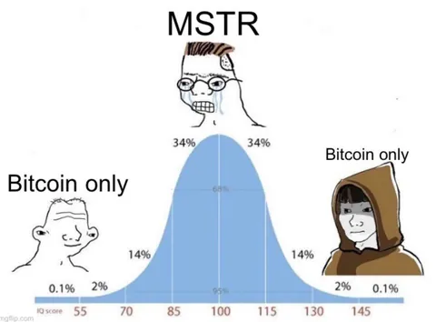 Bitcoin only