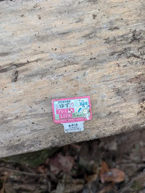 I found a camcorder in the woods of Japan