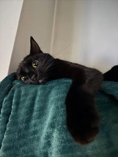 He just stared at me like this and I melted😩