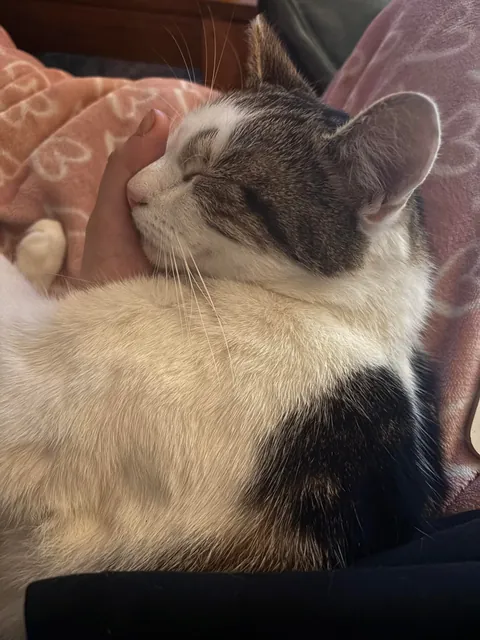 My beautiful baby died today