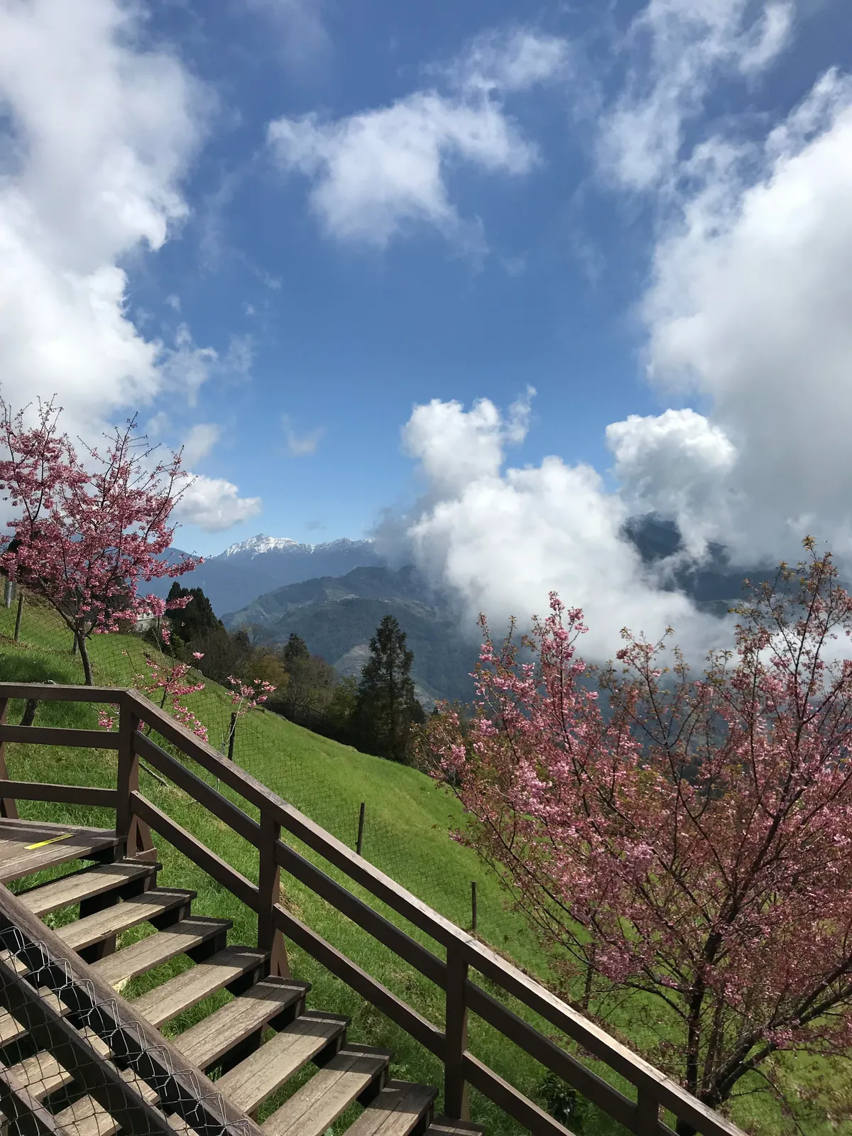 QingJing Farm Views outside Taichung City, Taiwan
