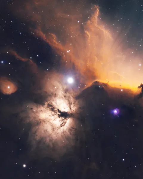 Happy Lunar New Year of the Horse!