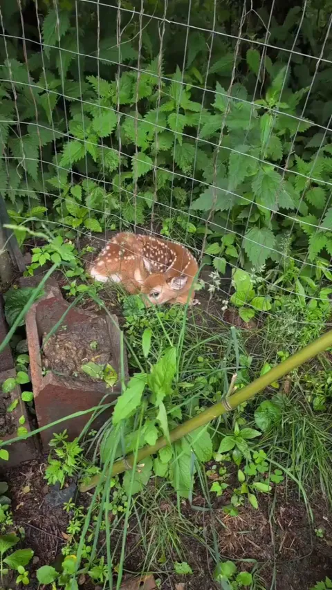 Excuse you Sir, the baby can live wherever it damn pleases