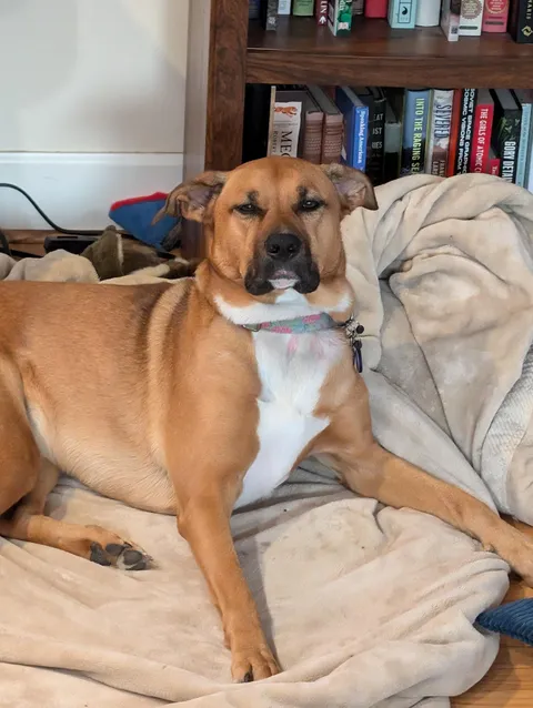 The neck roll. The trout pout. The chicken wing ears. And she just woke up like this.