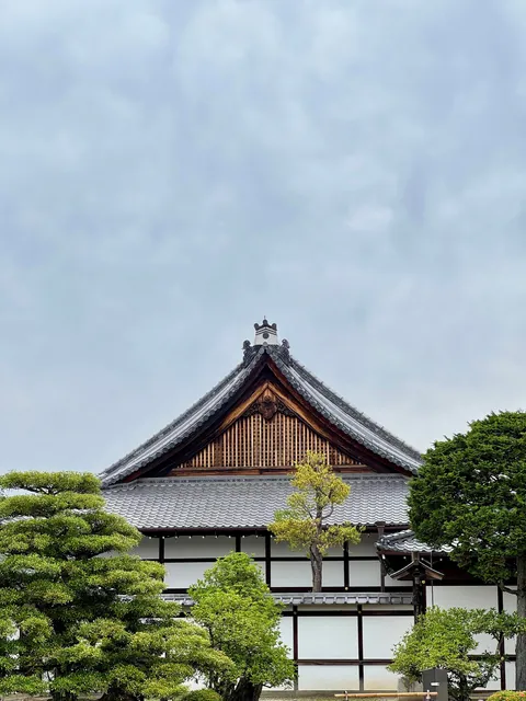 My thoughts after 2 weeks in Japan (Tokyo, Kyoto, Osaka)