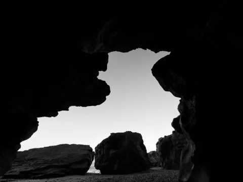 🔥 Took a picture of a rare bird when I was on a roadtrip