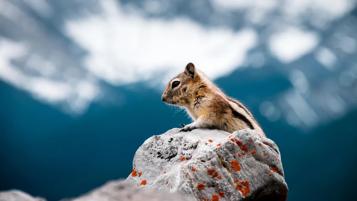 A very lucky shot from a beginner [color] [editing]