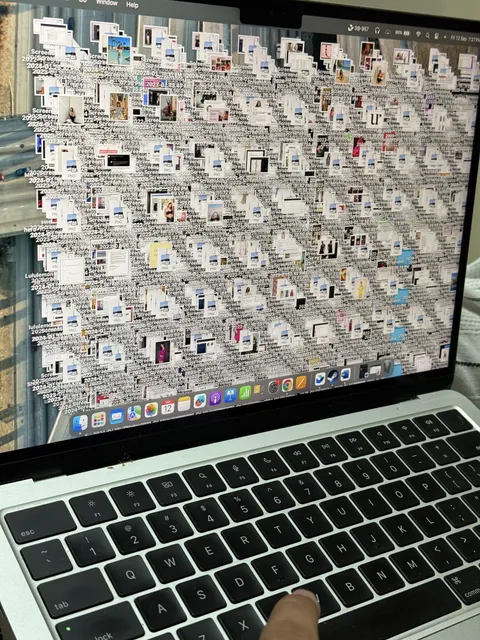 My sister’s Mac Desktop screen