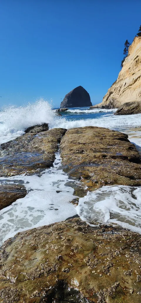 Pacific city, Oregon 