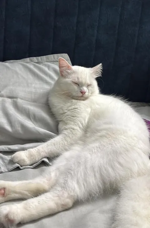 Found her abandoned in a box with her newborn during heavy rains