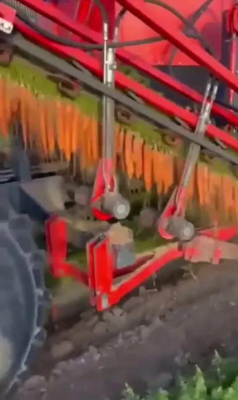 This machine harvests carrots.