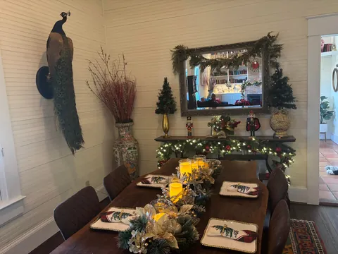 My first real Christmas Tree