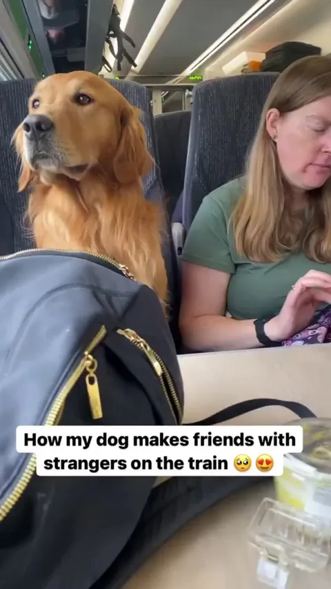 Making friends with strangers