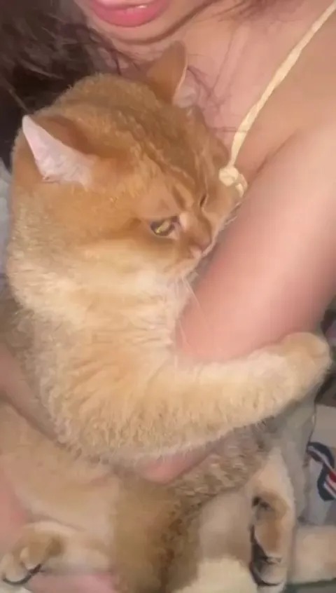 it's so cute 🥰 😆