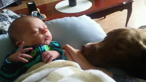 My Bassi bear tuned 10! My best boy, the best “big” brother and my best friend:)