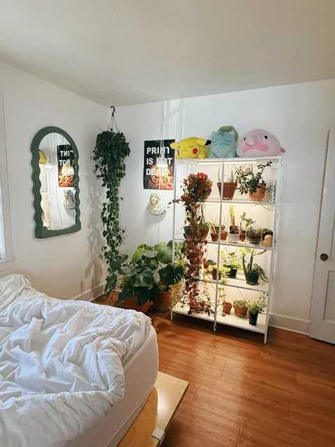 My cozy plant-filled apartment in Alabama (I’ve been told!)