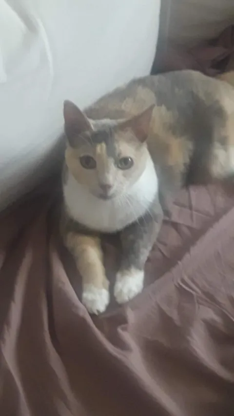 In honor of Molly Dec 24, 2025