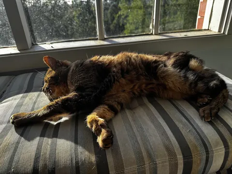 Leo turned 20 today! 🎉🎉🎉