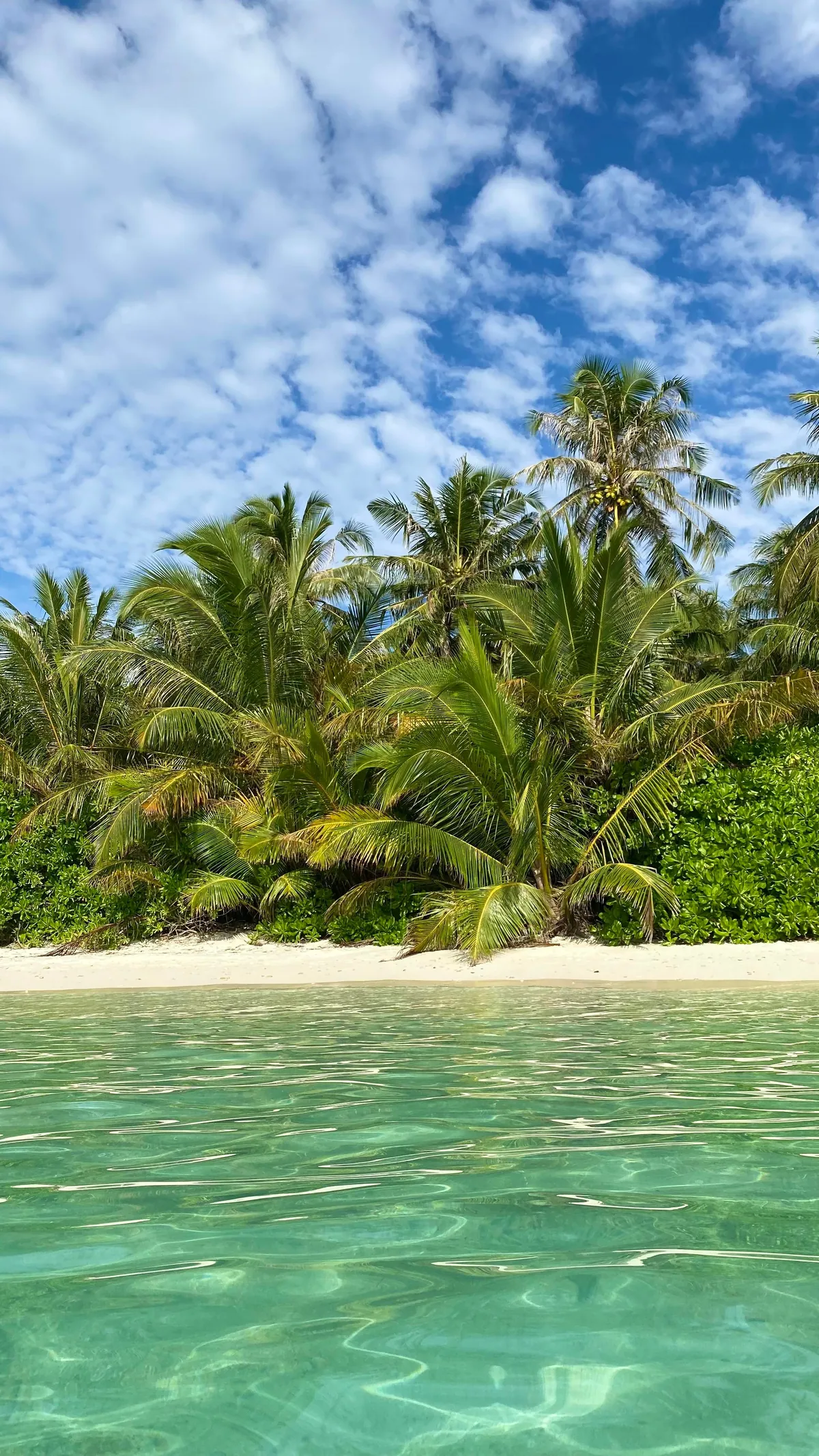 Spent a couple of days on a local Maldivian island and loved every second of it.