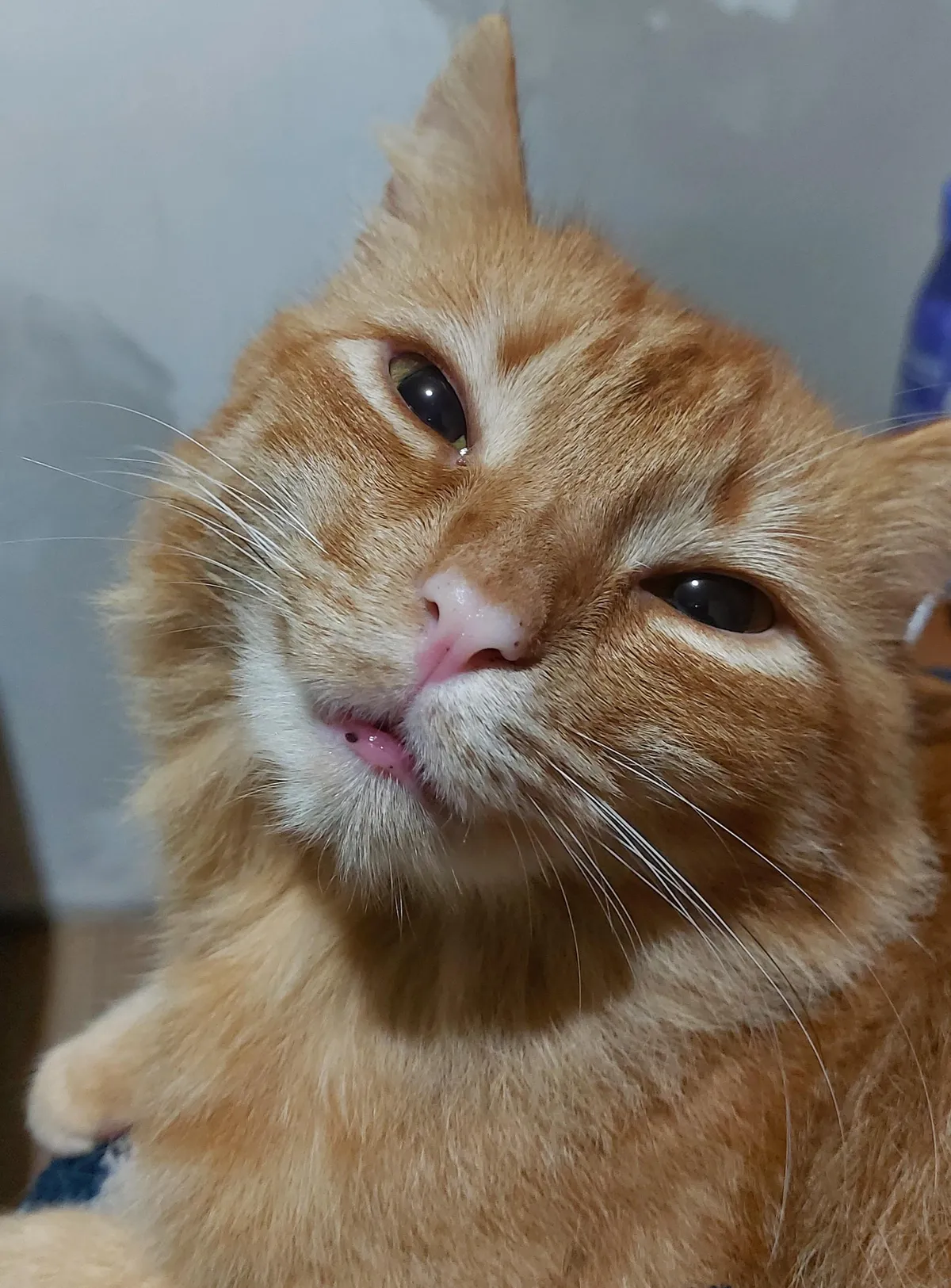 gave this boy a little cuddle, look at his adorable face &lt;3