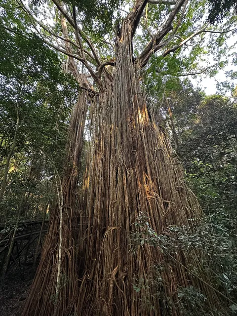 First time in Australia - it was a blast!