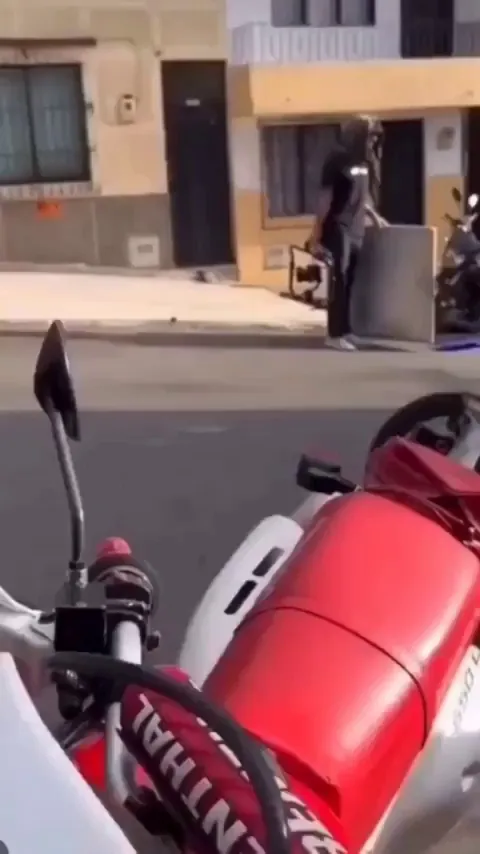 They way they dismount