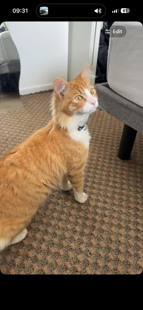 Buddy was homeless a couple months ago